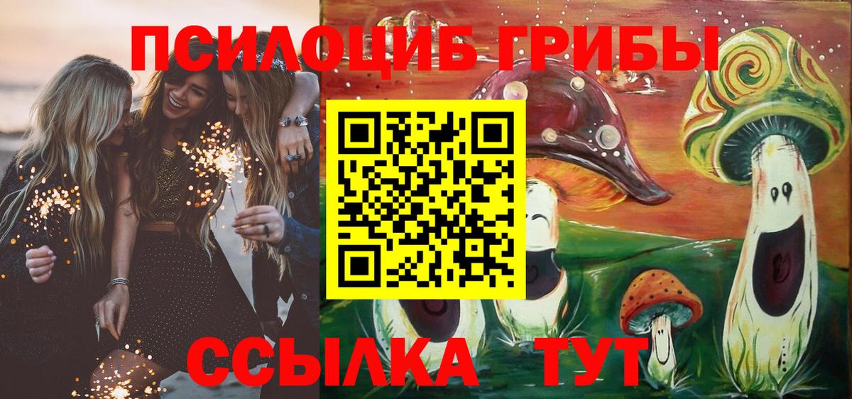 Псилоцибиновые грибы Cubensis  Галлюциногенные грибы ЛСД  Волхов  Вход с VPN 